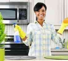 Cele mai bune produse de curățat pentru bucătărie: recenzie, aplicație, producători și recenzii