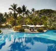 Cele mai bune hoteluri din Bali - prezentare generală, oferte speciale și comentarii