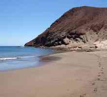 Cele mai bune plaje din Tenerife - ce sunt?