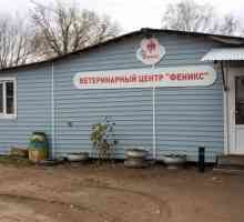 Cele mai bune clinici veterinare din Noginsk
