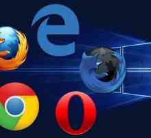 Cele mai bune browsere pentru Windows 10 64 biți: evaluare