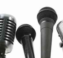 Cel mai bun microfon pentru un blogger: recenzie, caracteristici, caracteristici și recenzii