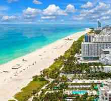 Лучший пляж Майами: описание, особенности и отзывы туристов