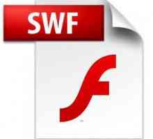 Cel mai bun editor SWF: revizuirea software-ului