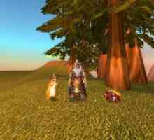 Meadow Dog și alte animale de companie de luptă World of Warcraft
