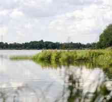 Lacul Lunskoye din districtul Sormovo din Nižnij Novgorod: cum să ajungeți acolo, odihnă, pescuit