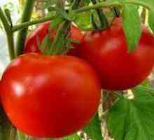 Makhitos este o tomată care merită încercată