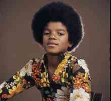 Michael Jackson în tinerețe. Biografie, viață personală, creativitate