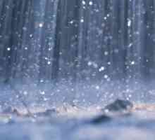 Cantitatea maximă de precipitații cade în ce parte a planetei?