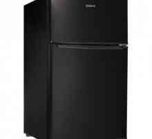 Un mic frigider cu congelator: o recenzie, specificații și recenzii