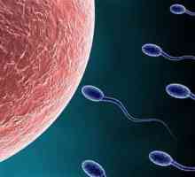 Sperma inactivă: cauze și tratament