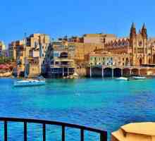 Malta: pavilionul și istoria sa
