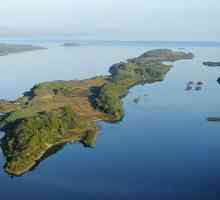Insulele Malvinas: istorie. Conflictul din Insulele Malvinas