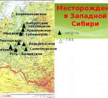 Mamontovskoye câmp de petrol și gaze: locație, istorie și caracteristici
