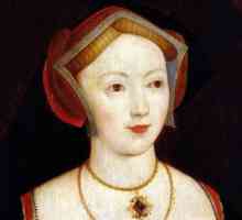 Maria Boleyn: biografia și faimosul roman de frumusețe