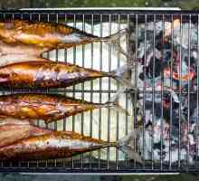 Marinada pentru pește de fumat: caracteristici de gătit, cele mai bune rețete și recenzii