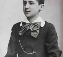 Marcel Proust: biografie, creativitate, idei de lucrări