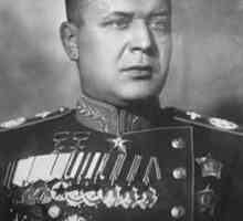 Mareșalul Novikov: scurtă biografie