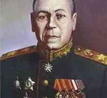 Mareșalul Boris Shaposhnikov: biografie, fotografie