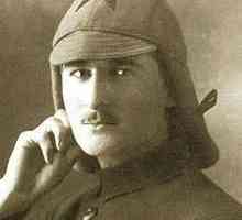 Mareșalul Sokolovsky Vasiliy Danilovici: biografie, istorie și fapte interesante
