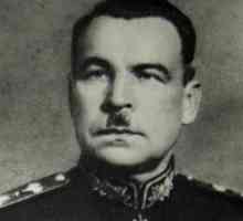Mareșalul Uniunii Sovietice Govorov Leonid Alexandrovich: biografie, premii
