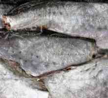Pestele de pește savorini. Beneficii și proprietăți