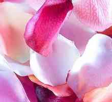 Ulei de trandafiri în cosmetologie