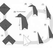 Master class, cum să faci un pinguin original origami