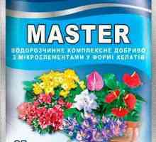 "Master" - îngrășământ pentru plantele cu flori