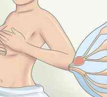Mastita: tratamentul bolii la femeile care alăptează