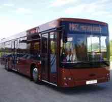 MAZ-203 - autobuz urban cu trei uși, confortabil cu trei uși