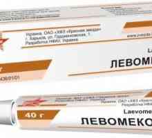 Unguent "Levomekol": pentru ce se utilizează medicamentul?