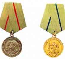 Medalia partizanului războiului patriotic - o cale dificilă spre victorie