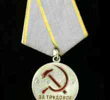 Medalia "Pentru diferența de muncă". Medalie "Pentru muncă robustă". Premii de…