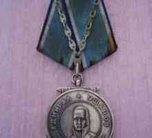 Medaliile lui Ushakov. Pentru ceea ce a fost distins cu medalia Ushakov