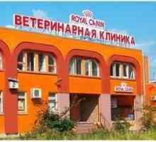 Asistență medicală pentru animalele din Sankt Petersburg. Clinica Sotnikov