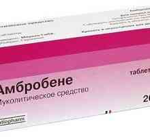 Medicamentul "Ambrogen" (pentru copii). instrucție