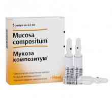 Medicamentul "Mukoza compositum" este un remediu excelent pentru inflamații și infecții