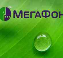 "Megafonul", tariful "Firm universal": descrierea, serviciile și răspunsurile