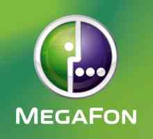 Megafon: tarife profitabile. Care sunt cele mai bune rate?