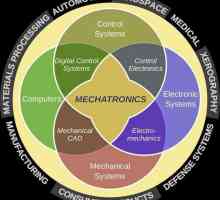 Mechatronica - ce este? Bazele mecatronicii. Mechatronică și robotică (specialitate): cu cine să…