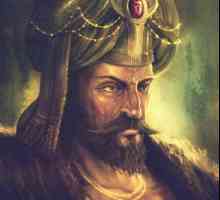 Mehmed II: biografia sultanului otoman
