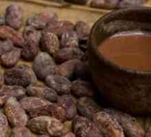 Мексиканский древний народный напиток. История шоколада