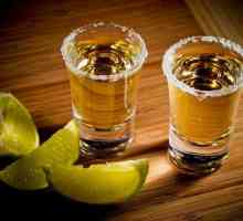 Mexicană băuturi alcoolice naționale tequila argint