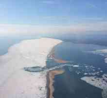 Shallow Golful Posolsky Sor - descriere, obiective turistice și informații interesante