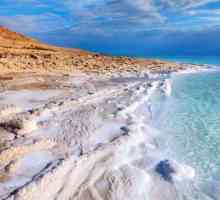 Marea Moartă. Descrierea geografiei. Probleme ecologice, proprietăți vindecătoare și alte…