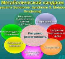 Sindromul metabolic la femei: cauze și tratament