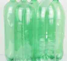 Mormăi dintr-o sticlă de plastic: o clasă de master