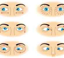 Metoda 20-20-20 și alte modalități de a proteja ochii de efectele computerului