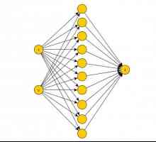 Metode de formare a rețelei neuronale